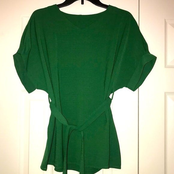 SHEIN | V-Neck Self Tie Waist Blouse - Picture 5 of 6